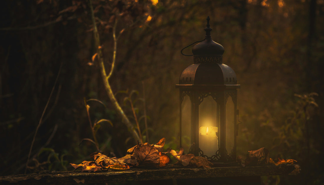 Autumn Affirmations: Finding Joy and Calm as the Days Shorten
