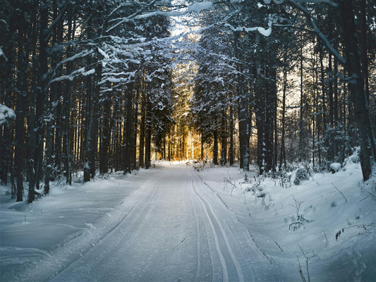 Embracing the Positivity of Winter
